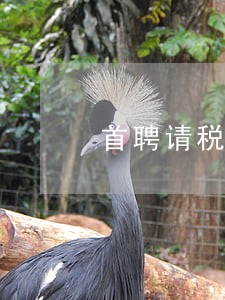 首聘请税务律师过目片酬与税收 首聘请税务律师过目片酬与税收