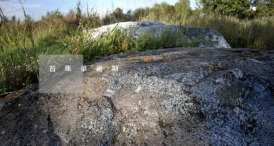 首账单逾期 首账单逾期