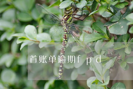首账单逾期fpd 首账单逾期fpd