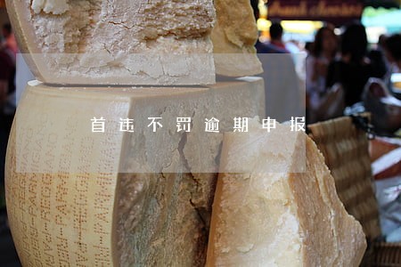 首违不罚逾期申报 首违不罚逾期申报
