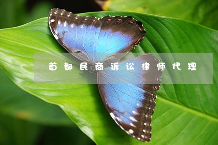 首都民商诉讼律师代理 首都民商诉讼律师代理