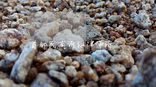 首都民商诉讼律师所
