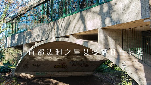 首都法制之星艾冬牺牲在抗疫一线 首都法制之星艾冬牺牲在抗疫一线