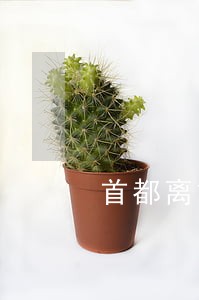 首都离婚房产律师收费 首都离婚房产律师收费