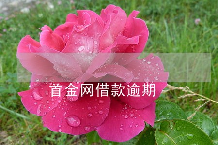 首金网借款逾期 首金网借款逾期