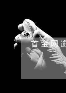 首金网逾期金额