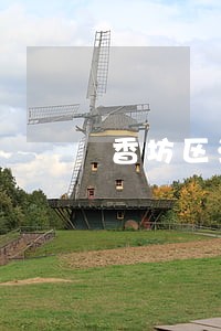 香坊区法院王翠平 香坊区法院王翠平