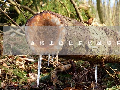 香格里拉县股权融资律师 香格里拉县股权融资律师
