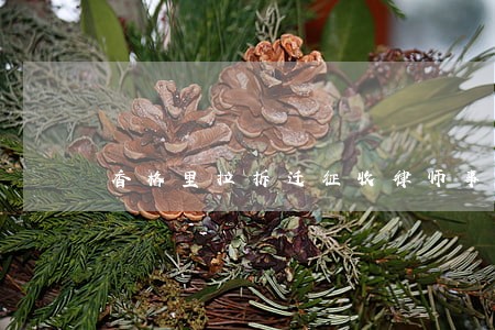 香格里拉拆迁征收律师事务所 香格里拉拆迁征收律师事务所