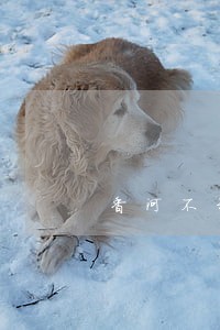 香河不动产纠纷律师 香河不动产纠纷律师