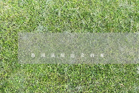 香河法院拍卖的车 香河法院拍卖的车