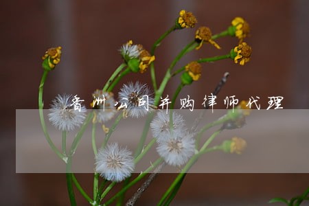 香洲公司并购律师代理 香洲公司并购律师代理