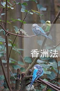 香洲法院发出人身安全保护令 香洲法院发出人身安全保护令
