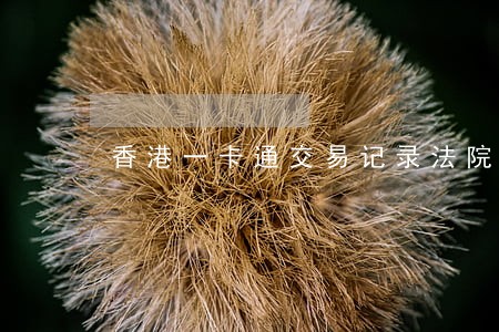 香港一卡通交易记录法院查询 香港一卡通交易记录法院查询