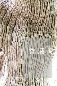 香港专利申请时间逾期 香港专利申请时间逾期