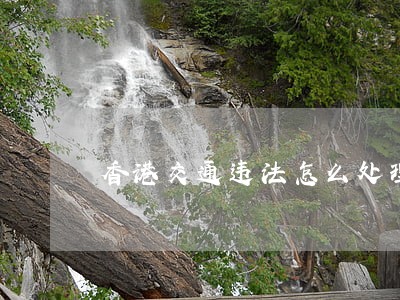 香港交通违法怎么处理