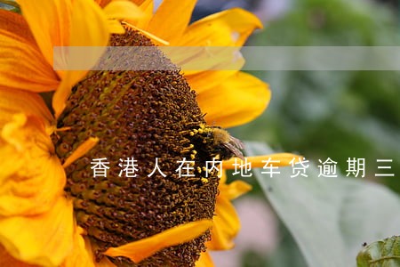 香港人在内地车贷逾期三个月 香港人在内地车贷逾期三个月