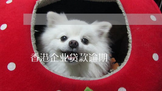 香港企业贷款逾期