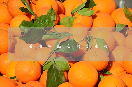 香港保险返佣违法吗