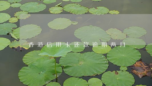 香港信用卡还款逾期两月 香港信用卡还款逾期两月