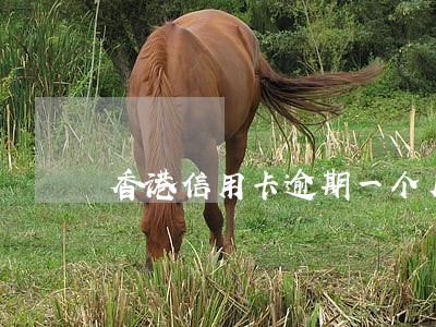 香港信用卡逾期一个月 香港信用卡逾期一个月