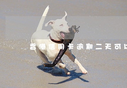 香港信用卡逾期二天可以吗 香港信用卡逾期二天可以吗