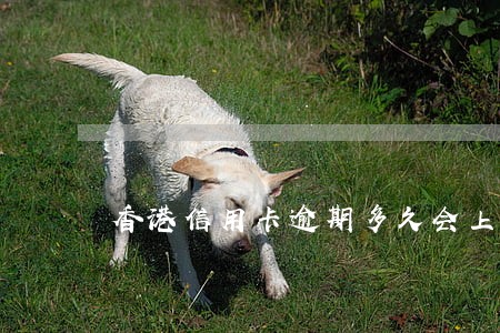 香港信用卡逾期多久会上征信 香港信用卡逾期多久会上征信