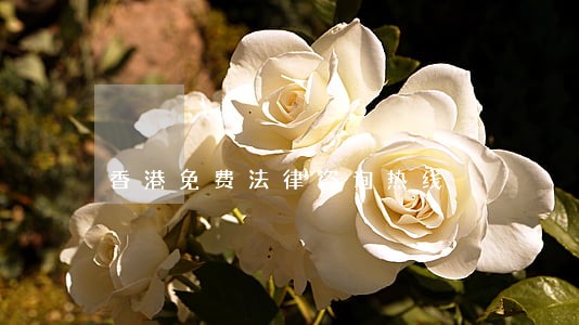 香港免费法律咨询热线 香港免费法律咨询热线