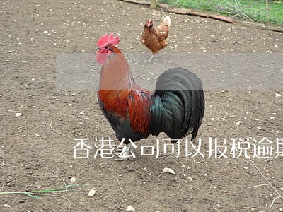 香港公司可以报税逾期吗 香港公司可以报税逾期吗