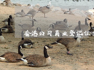 香港公司商业登记证逾期会怎么样 香港公司商业登记证逾期会怎么样
