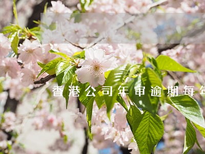 香港公司年审逾期每年都要罚款吗 香港公司年审逾期每年都要罚款吗
