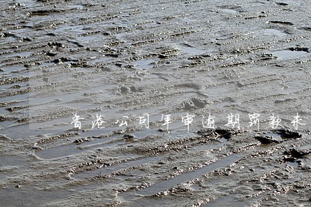 香港公司年审逾期罚款未及时处理 香港公司年审逾期罚款未及时处理