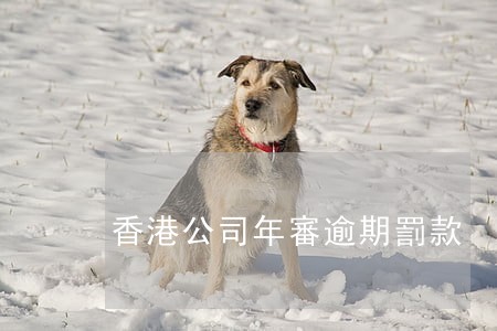 香港公司年審逾期罰款