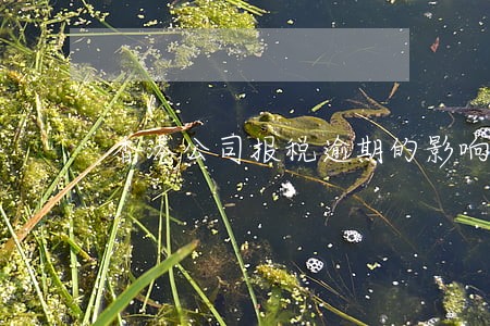香港公司报税逾期的影响 香港公司报税逾期的影响