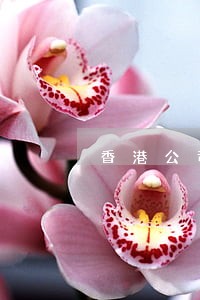 香港公司逾期2年未年审