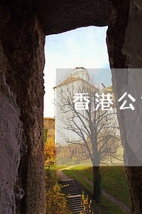 香港公司逾期怎么交款 香港公司逾期怎么交款
