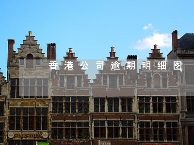香港公司逾期明细图 香港公司逾期明细图