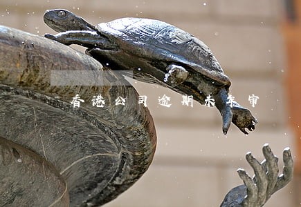 香港公司逾期未年审 香港公司逾期未年审