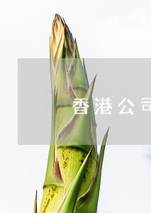 香港公司逾期未申报罚款吗 香港公司逾期未申报罚款吗