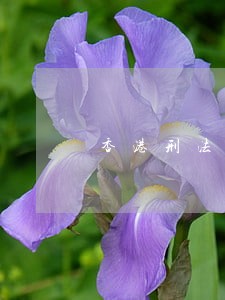 香港刑法可以减刑吗