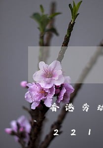 香港劳动法孕妇裁员/2023021302216 香港劳动法孕妇裁员/2023021302216