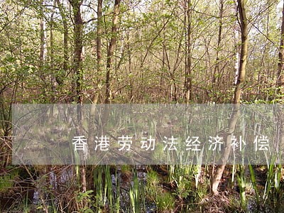 香港劳动法经济补偿 香港劳动法经济补偿