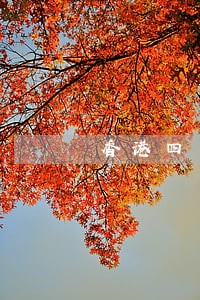 香港四名议员司法复核 香港四名议员司法复核