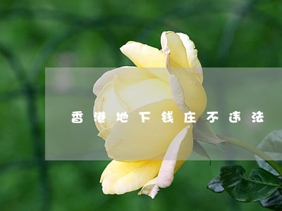 香港地下钱庄不违法 香港地下钱庄不违法