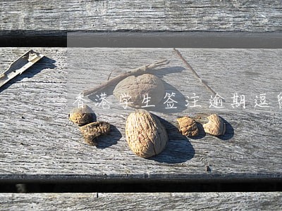 香港学生签注逾期逗留要请律师吗