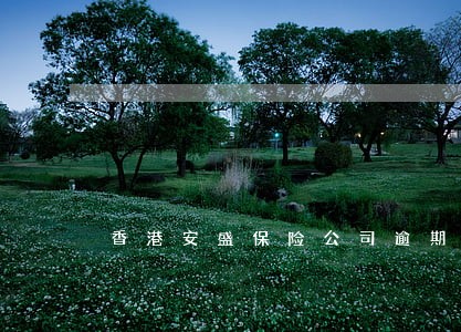 香港安盛保险公司逾期 香港安盛保险公司逾期
