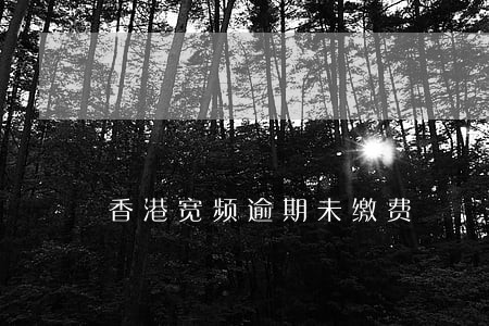 香港宽频逾期未缴费