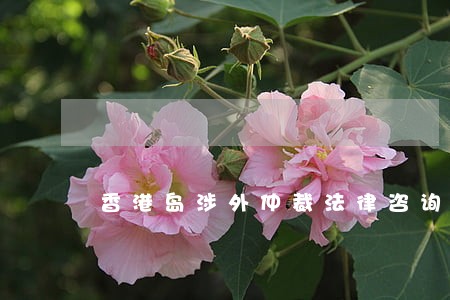 香港岛涉外仲裁法律咨询热线 香港岛涉外仲裁法律咨询热线