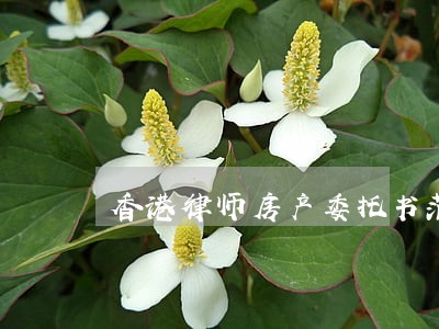 香港律师房产委托书范本 香港律师房产委托书范本