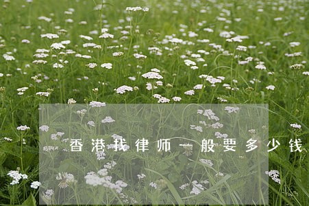 香港找律师一般要多少钱 香港找律师一般要多少钱